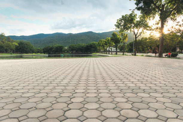 Best Driveway Paving Contractor  in Atascocita, TX