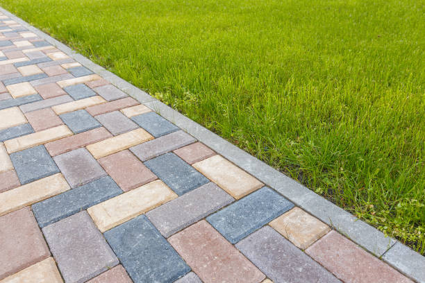 Best Driveway Paving Contractor  in Atascocita, TX